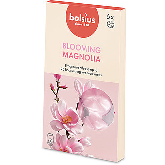 Bolsius True Scents Wax Melts - Magnolia (6er Pack) Artikelvorschau True Scents Wax Melts - Magnolia (6er Pack)