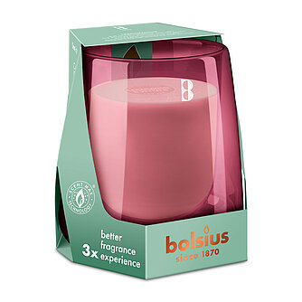 Bolsius Bolsius: Cleanlight Starterkit - Zedernholz & Vetiver (1 Stück) Artikelvorschau Bolsius: Cleanlight Starterkit - Zedernholz & Vetiver (1 Stück)