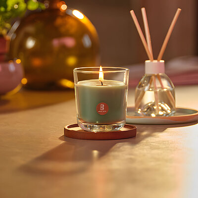 Auf einem stilvoll dekorierten Tisch steht im Vordergrund eine brennende Bolsius Duftkerze im Glas, die mit ihrem warmen Licht für eine behagliche Atmosphäre sorgt. Der Duft wird durch ätherische Öle freigesetzt und verleiht dem Raum eine frische, natürliche Note. Daneben steht ein eleganter Raumduft-Diffusor mit Holzstäbchen – ebenfalls von Bolsius – als perfekte Ergänzung für ein ganzheitliches Dufterlebnis. Im Hintergrund unterstreichen grüne Kräuter und stilvolle Dekorationselemente den natürlichen Charakter dieses Duftkonzepts.