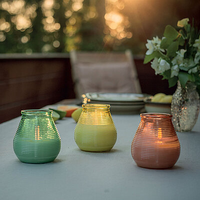 Sommerabend mit Stil: Die farbenfrohen Bolsius Outdoor-Windlichter schaffen im Garten oder auf dem Balkon eine stimmungsvolle Atmosphäre – ideal für gemütliche Stunden im Freien.